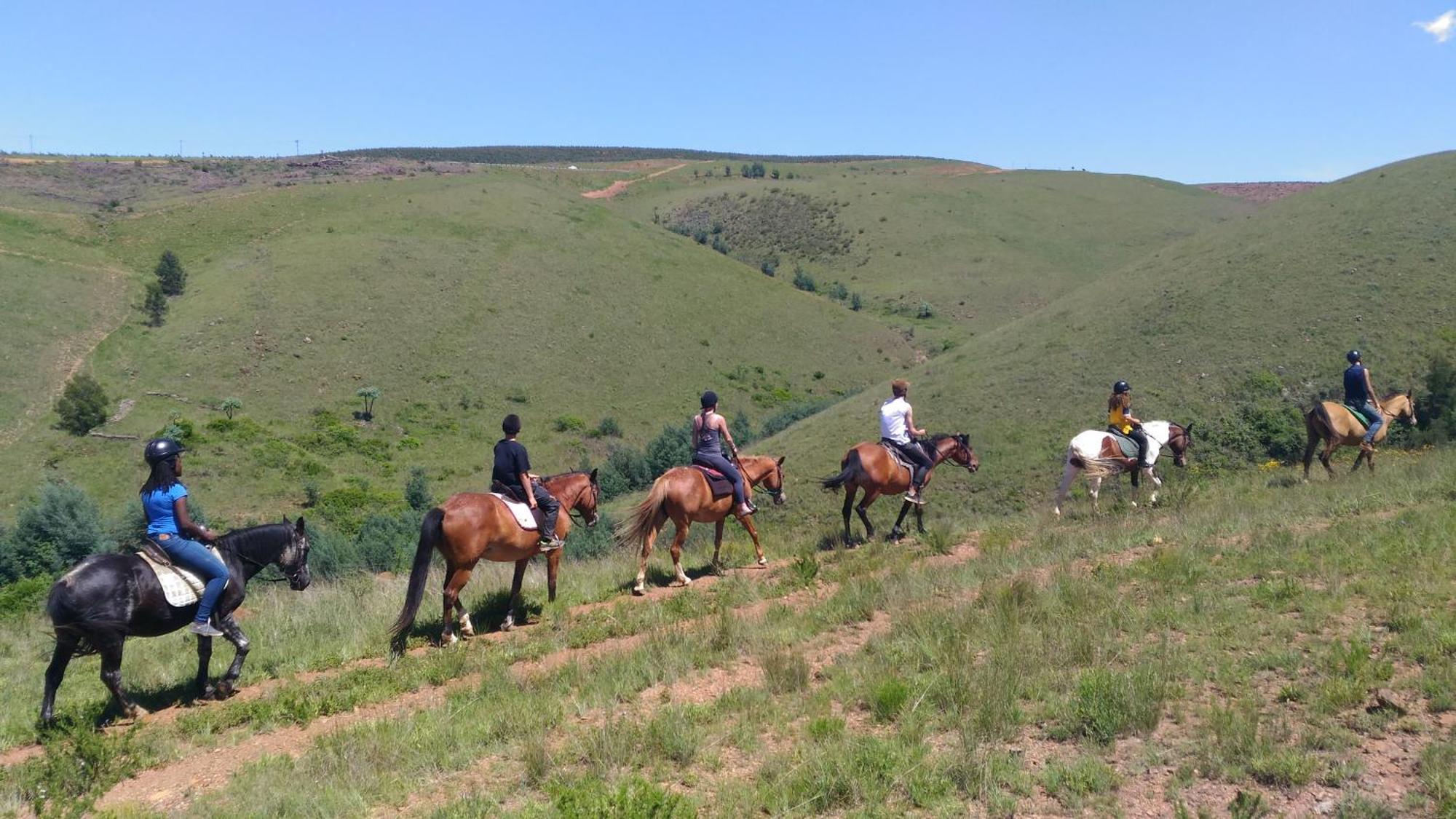 Rocky Drift Private Nature Reserve Waterval Boven Bagian luar foto